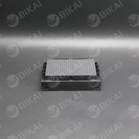 25μL transparent pre-sterilized pipette tips